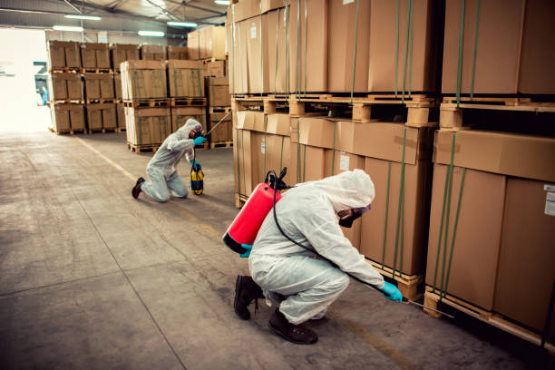 Trusted Hurley, NM Pest Control Experts