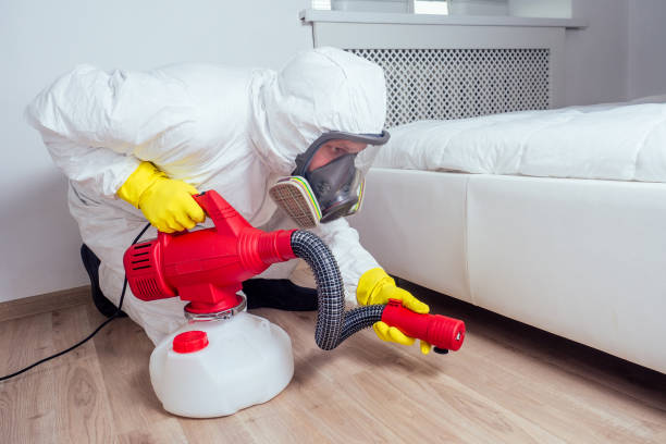 Best Pest Control for Restaurants  in Hurley, NM