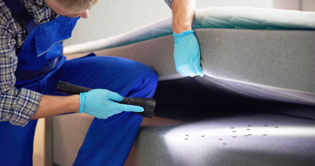 Best Pest Control Near Me  in Hurley, NM