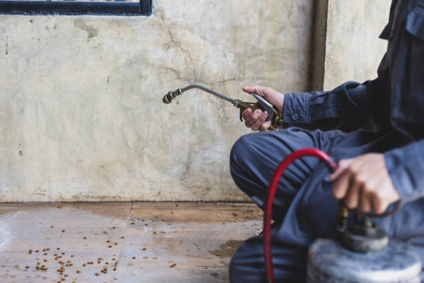 Best Best Pest Control Companies  in Hurley, NM